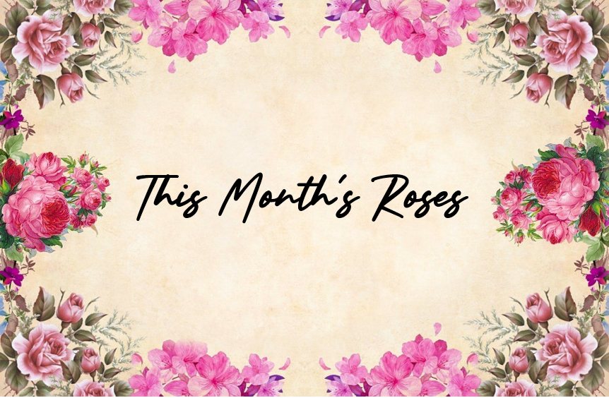 This Month's Roses Fellowship Faith Lutheran Church